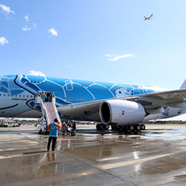 OEC Electronic Communication Systems